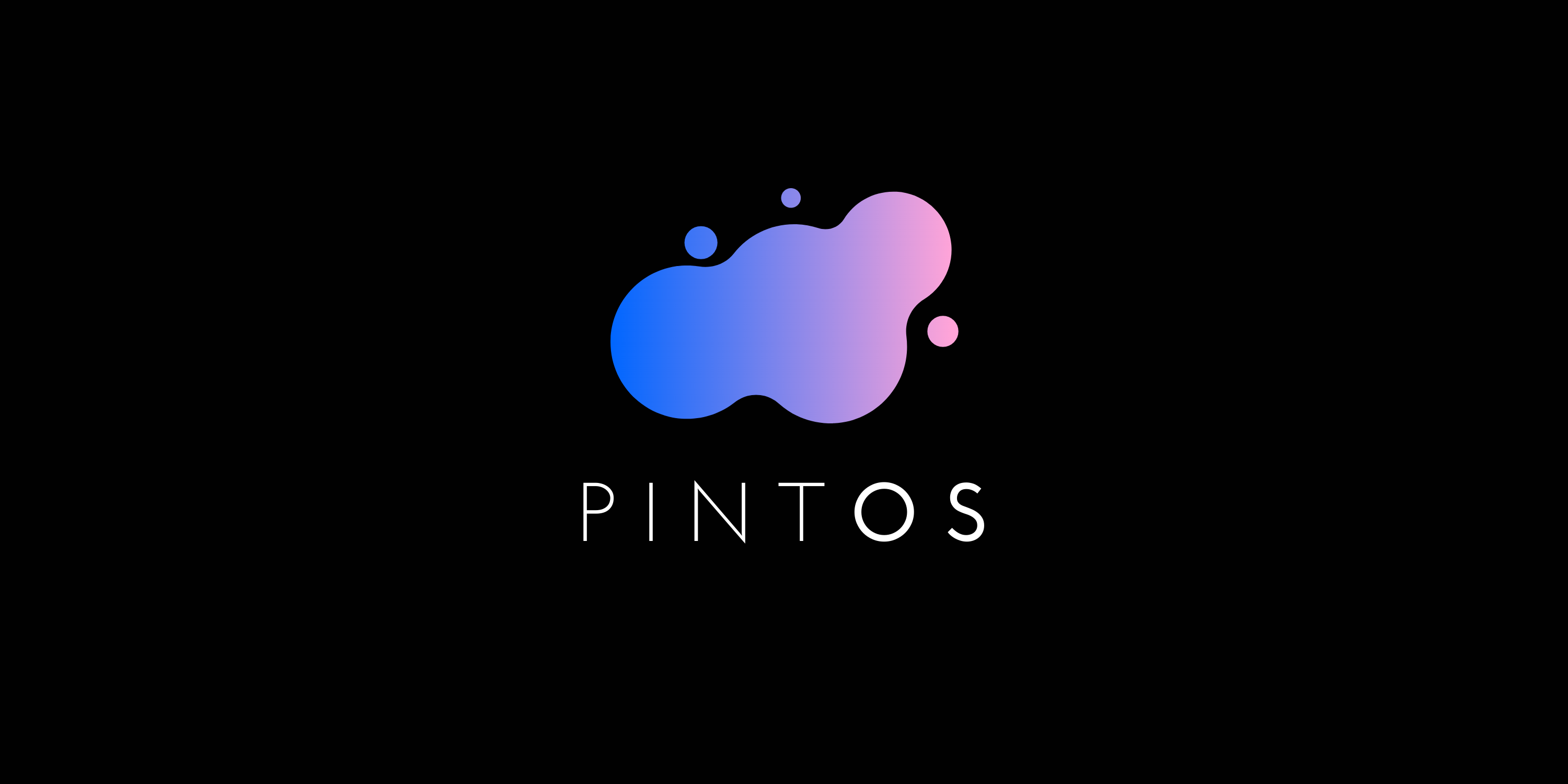 Pintos Banner Image